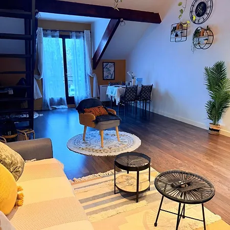 Duplex Lumineux Ris-orangis, Proche De Paris Et Orly * Ris-Orangis